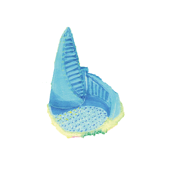 �Фl